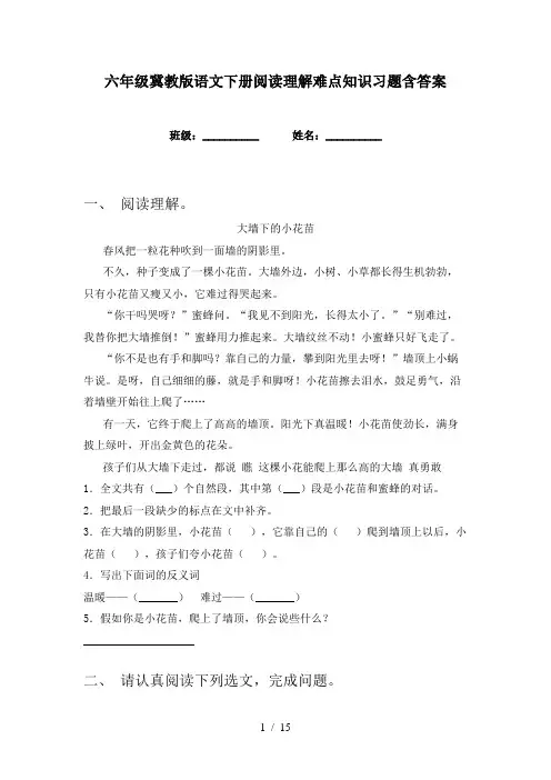 六年级冀教版语文下册阅读理解难点知识习题含答案