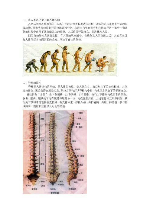 脊柱课件