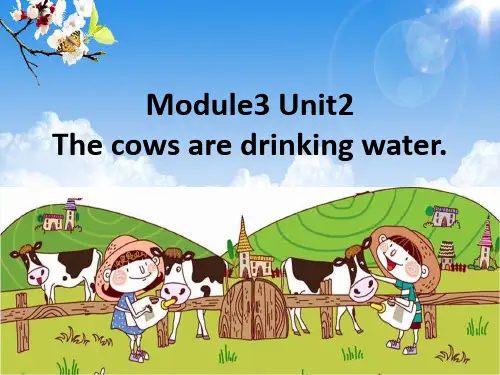 外研版(三起)六年级下册Module 3 Unit 2课件