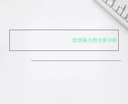 偿债能力的全面分析
