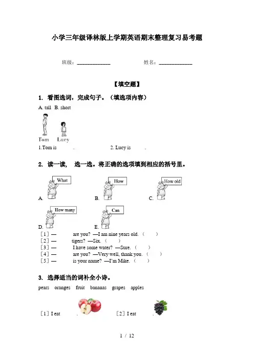 小学三年级译林版上学期英语期末整理复习易考题