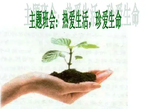 优秀主题班会：热爱生活,珍爱生命ppt