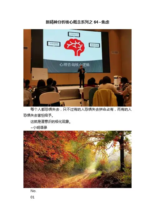新精神分析核心概念系列之64~焦虑
