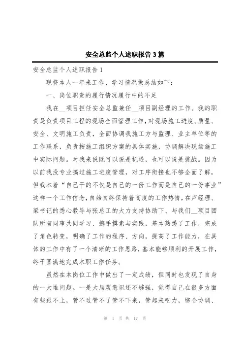 安全总监个人述职报告3篇