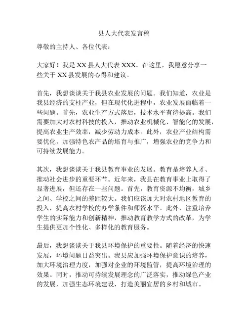 县人大代表发言稿