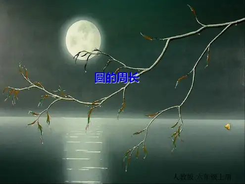 《圆的周长》PPT课件(共22张PPT)