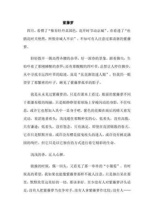 鄂州市中考满分作文-紫藤萝