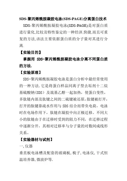 SDS-PAGE分离蛋白技术