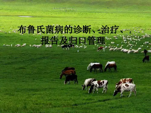 布鲁氏菌病的诊断、治疗、报告及归口管理