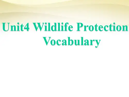 人教版高一英语必修二 Unit 4 WIldlife protection Vocabulary 课件