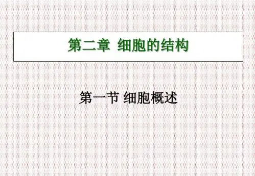 2.1细胞概述课件浙科版必修一