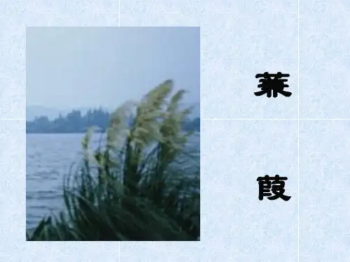 第12课《诗经二首——蒹葭》课件(共30张PPT) 部编版语文八年级下册