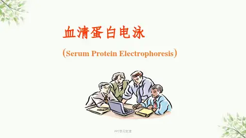血清蛋白电泳课件