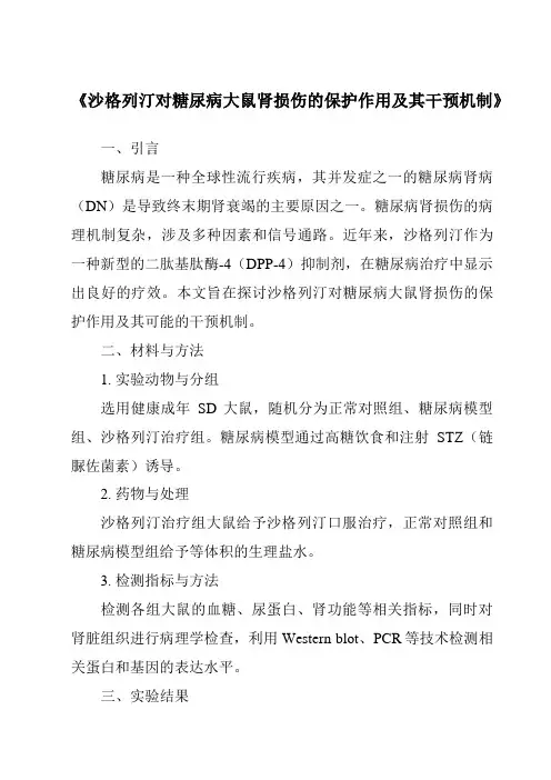 《沙格列汀对糖尿病大鼠肾损伤的保护作用及其干预机制》