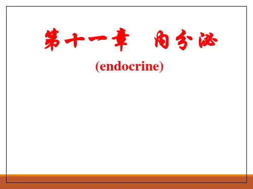 生理学@12 内分泌系统