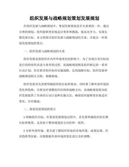 组织发展与战略规划策划发展规划