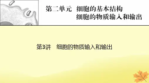 2023版高考生物一轮总复习第2单元细胞的基本结构细胞的物质输入和输出第3讲细胞的物质输入和输出课件