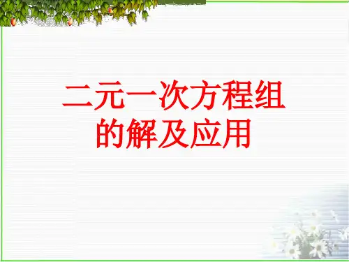 二元一次方程组的解的情况及应用-二元一次方程组的应用讲解