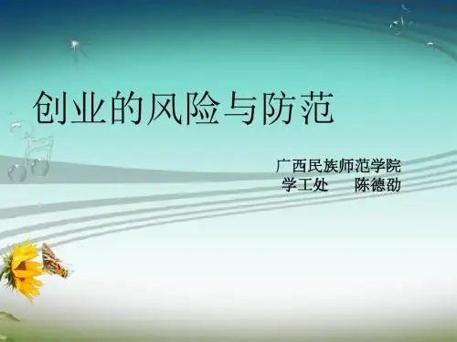 创业的风险与防范培训讲义(ppt49张)