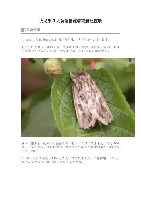 火龙果3大防治措施消灭斜纹夜蛾