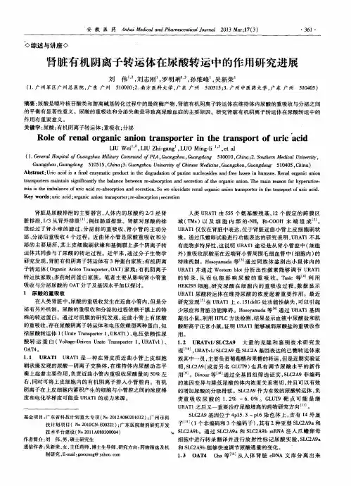 肾脏有机阴离子转运体在尿酸转运中的作用研究进展
