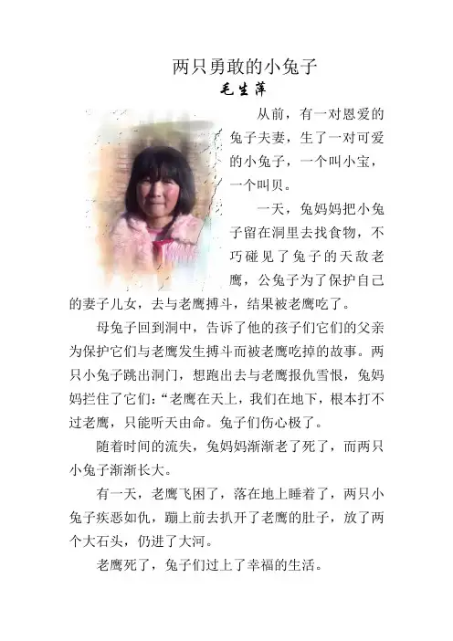 两只小兔子