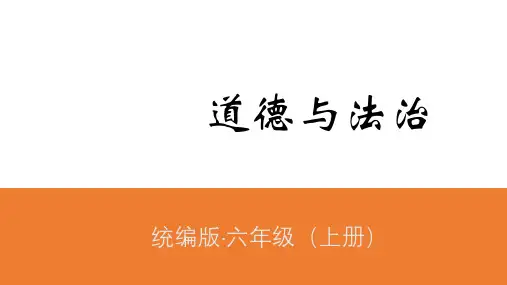 最新部编版人教版六年级道德与法治上册《宪法是根本法》教学课件