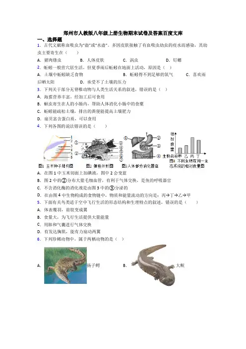 郑州市人教版八年级上册生物期末试卷及答案百度文库