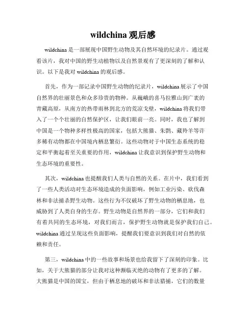 wildchina观后感