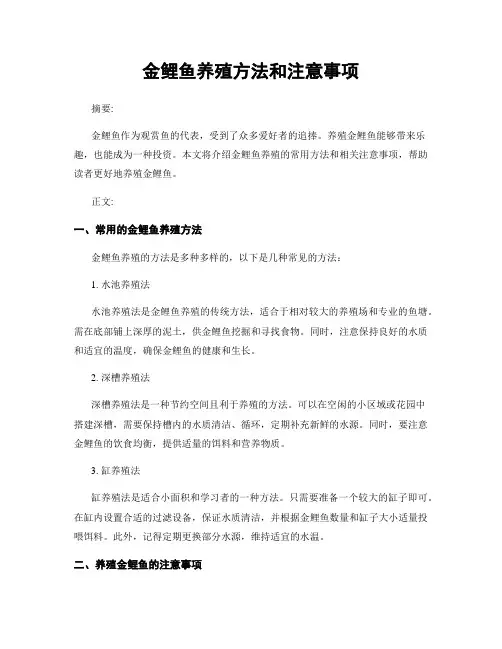 金鲤鱼养殖方法和注意事项