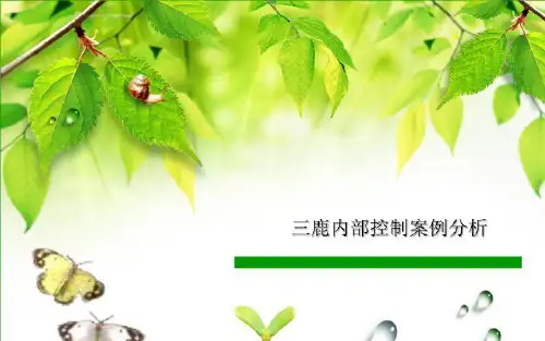 三鹿内部控制案例分析