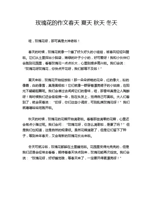 玫瑰花的作文春天 夏天 秋天 冬天