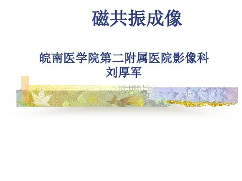 磁共振成像原理