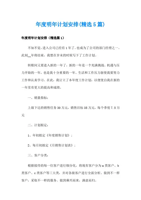 年度明年计划安排(精选5篇)