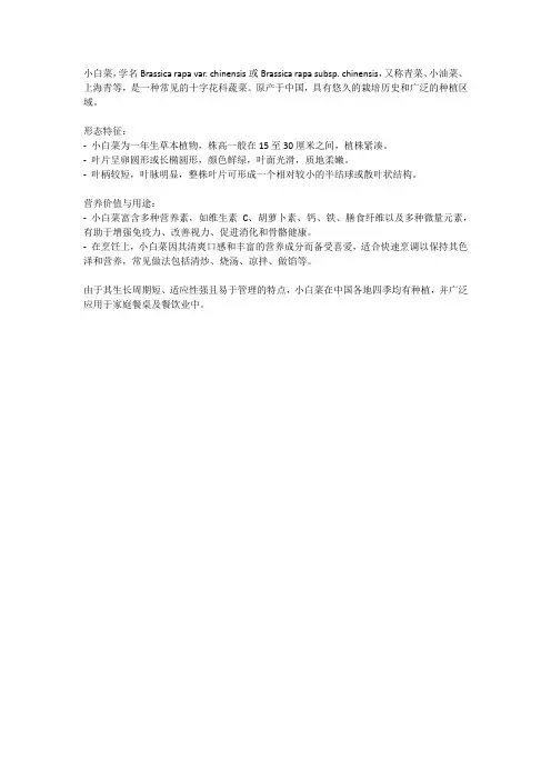 小白菜简介