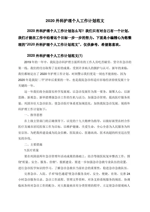 2020外科护理个人工作计划范文