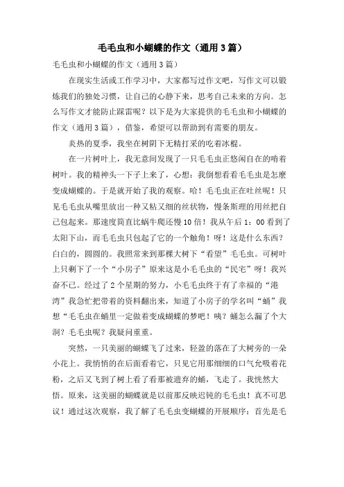 毛毛虫和小蝴蝶的作文(通用3篇)