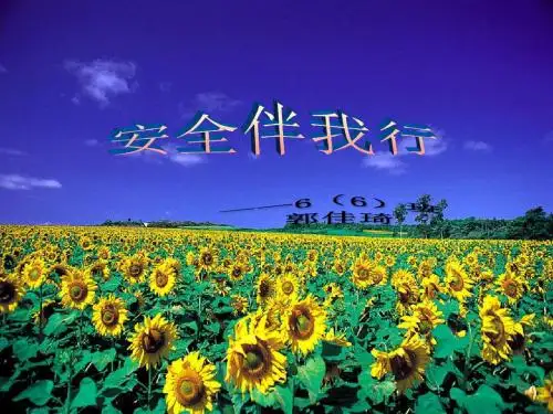 《安全伴我行》主题班会PPT课件