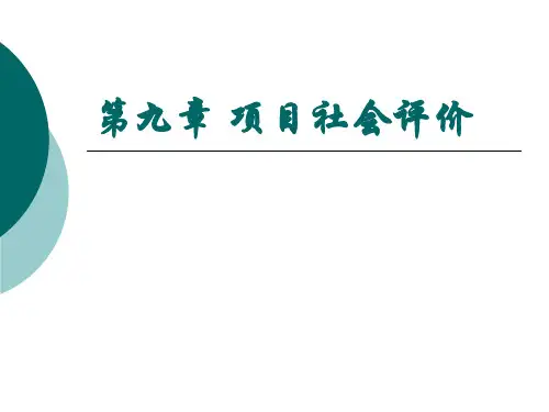 项目社会评价概述