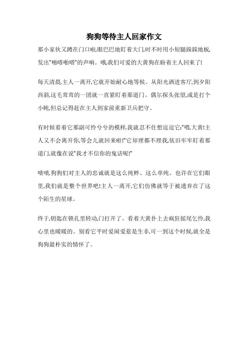 狗狗等待主人回家作文