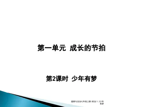 道德与法治七年级上册(政治)1.2少年有梦