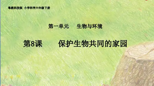 粤教版科学《保护生物同的家园》PPT实用课件1