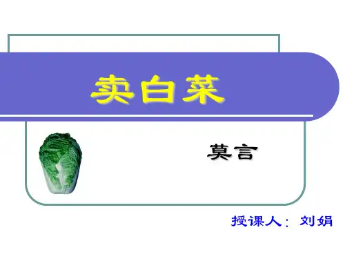 卖白菜精选教学PPT课件