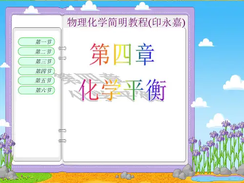 物理化学简明教程(印永嘉) 化学平衡