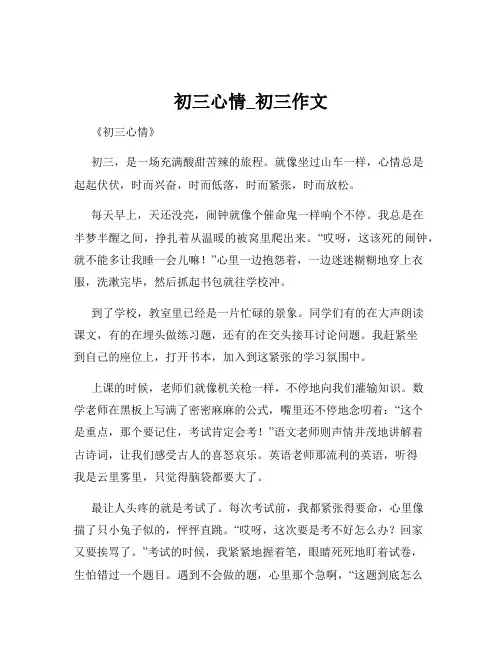 初三心情_初三作文