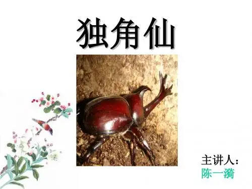 独角仙