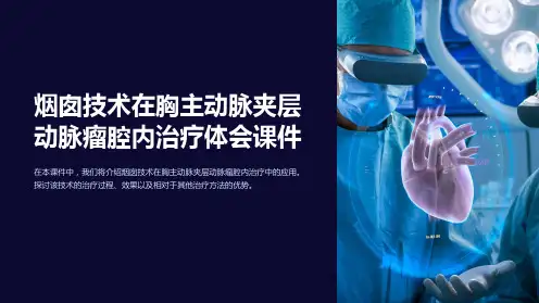 烟囱技术在胸主动脉夹层动脉瘤腔内治疗体会课件