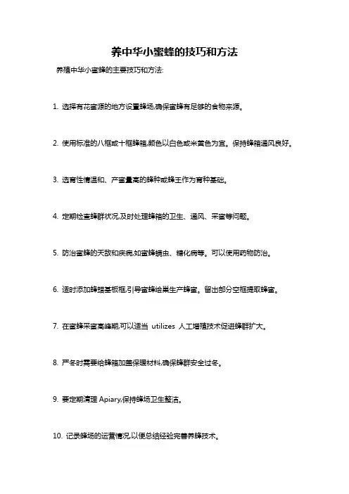 养中华小蜜蜂的技巧和方法