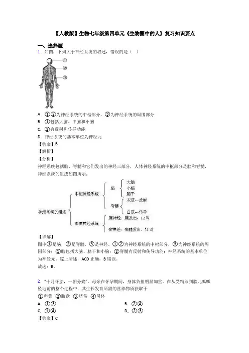 【人教版】生物七年级第四单元《生物圈中的人》复习知识要点