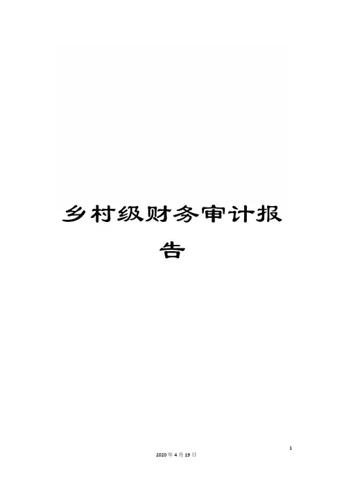 乡村级财务审计报告